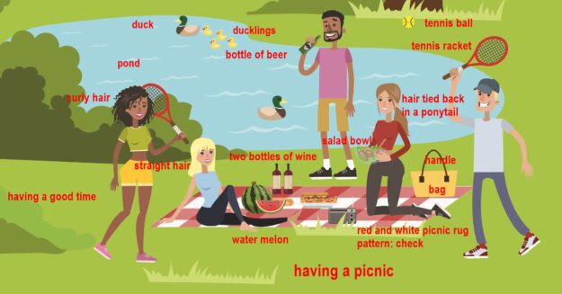 Having a Picnic