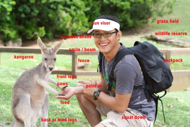 Tourist Meets Kangaroo