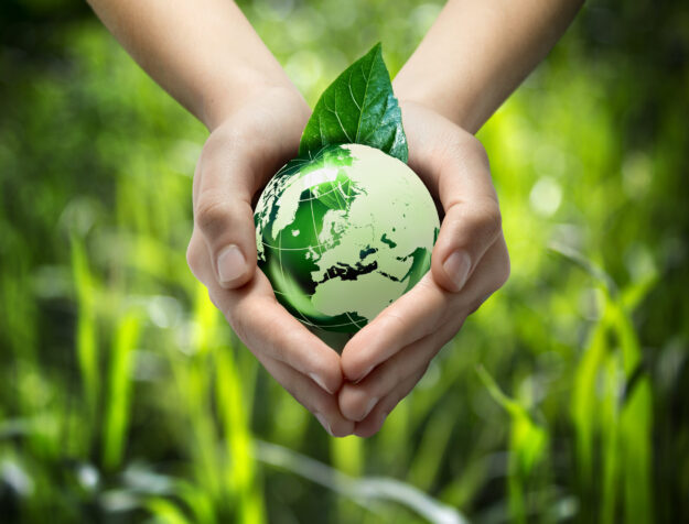 Green,World,In,The,Heart,Hand,-,Grass,Background