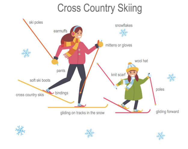Winter Activities – Cross Country Skiing Winter Activities - Cross Country Skiing